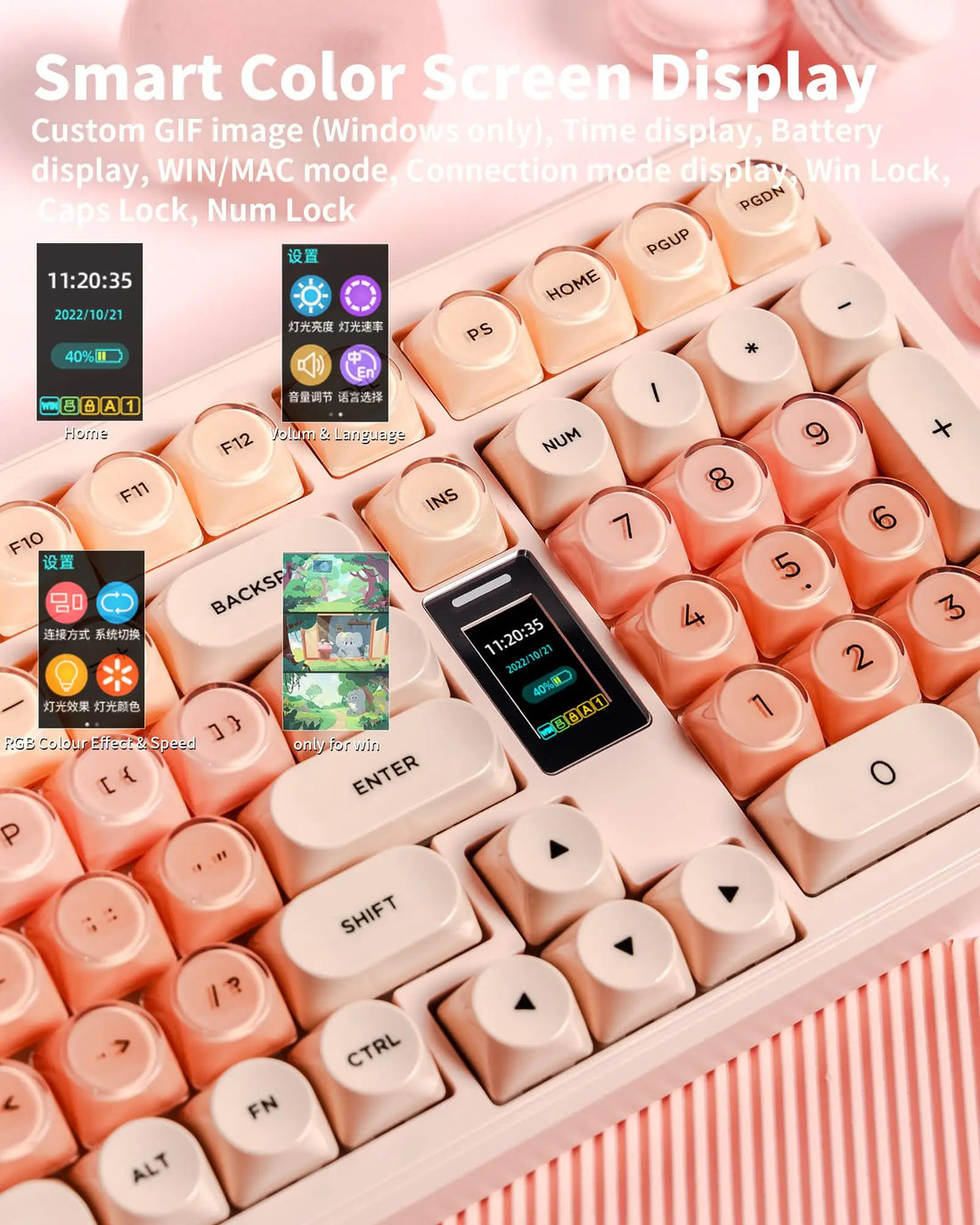 Womier WK98 Wireless Mechanical Tri-Mode Hot Swappable Foundation Keyboard with RGB & Screen
