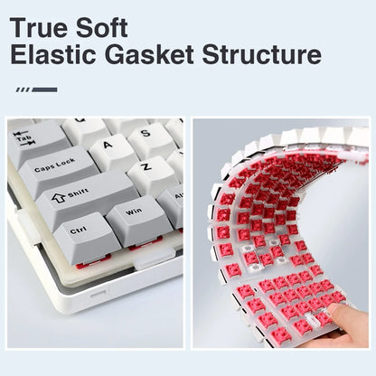 AULA F99 Wireless Gasket Mounted 96% Keyboard