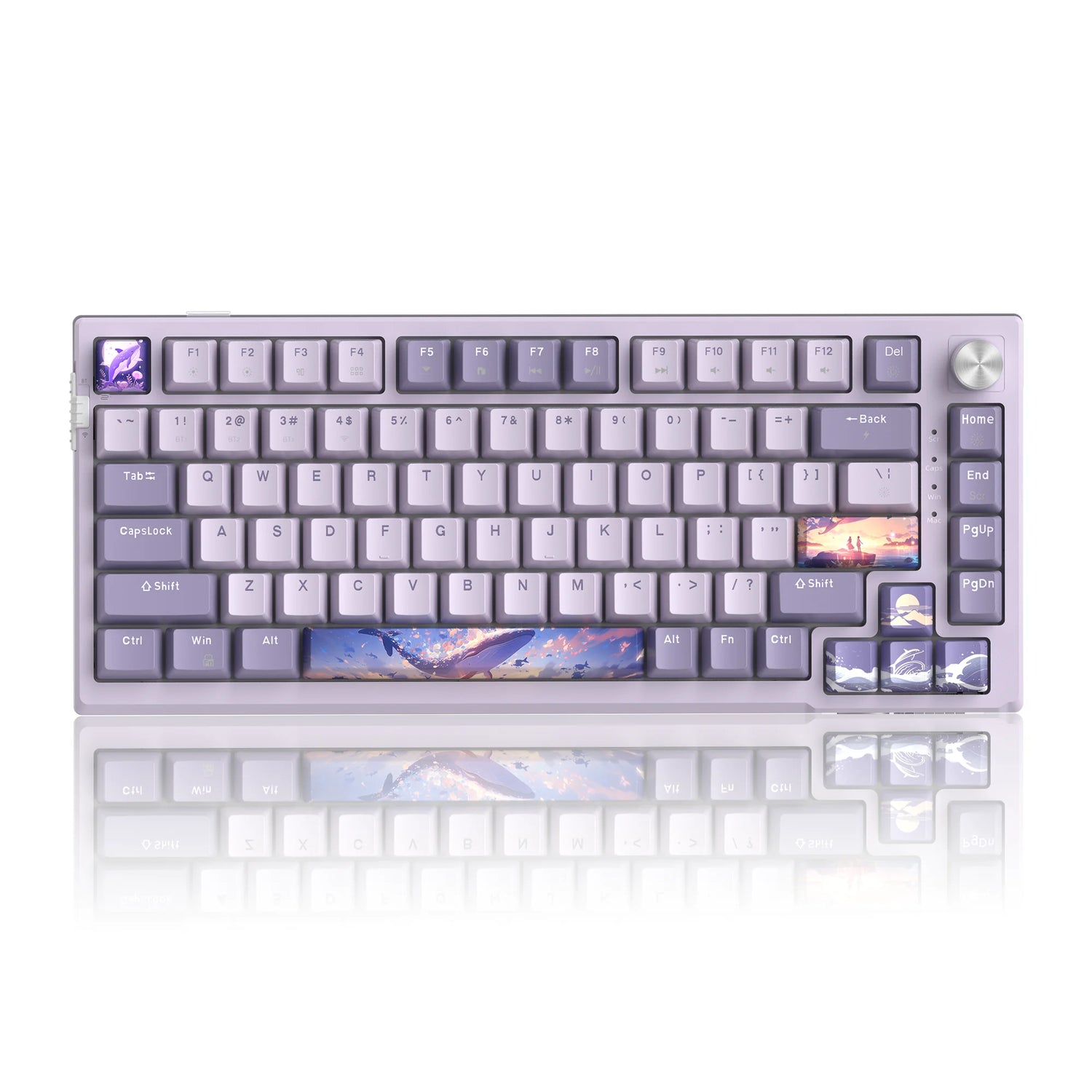 MageGee SKY81 75% Gasket Mounted Keyboard with Knob (Wired Only &amp; Tri-Mode Options)